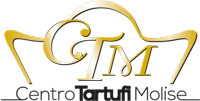 ctm-logo-m